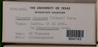 Image Associated With the Occurence